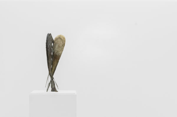 Giorgio Andreotta Calò, Catasterism at the Hedge House of Kasteel Wijlre estate