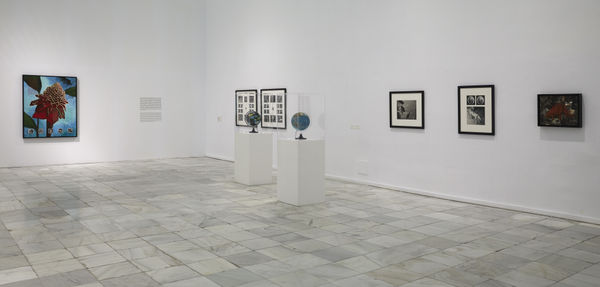 Photo: Joaquín Cortés / Román Lores