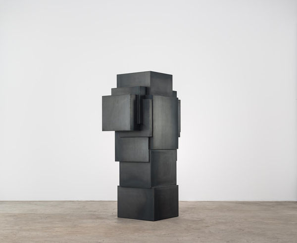 Antony Gormley, EXPANSION FIELD 4/60, 2014