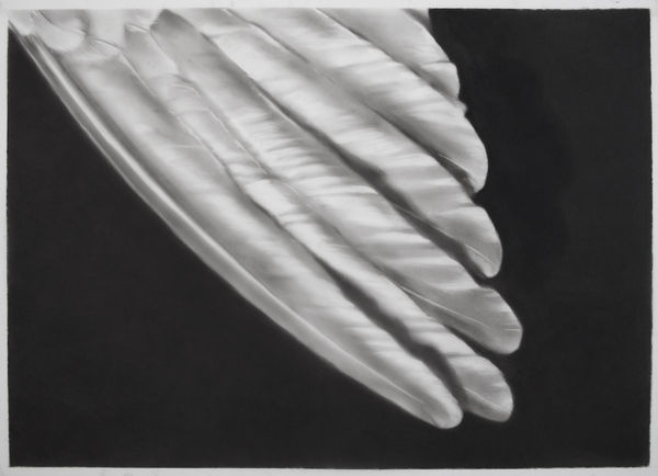 Robert Longo, Study for Wing Tip, 2012