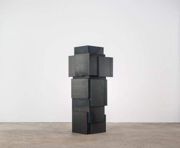Antony Gormley, EXPANSION FIELD 45/60, 2014
