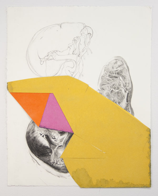 Steve Budington, Three Partial Views, 2017