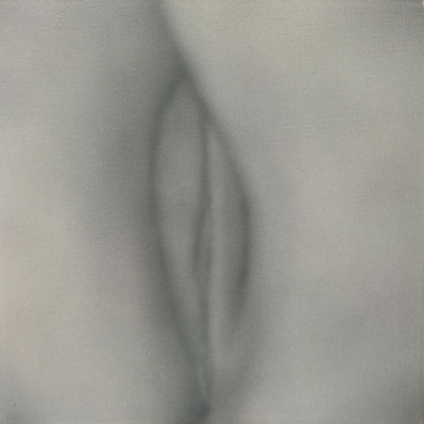 Betty Tompkins, Pussy Painting #3 (Red), 2011