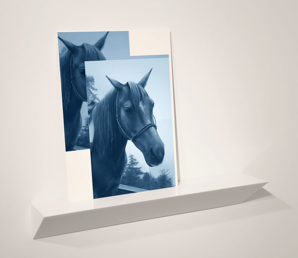 Andrew Sendor, Two portraits of Rallis Royce on the northwest wall of Saturday's living room., 2016