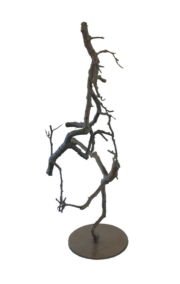 Joseph Wheelwright, Tree Family, 2009
