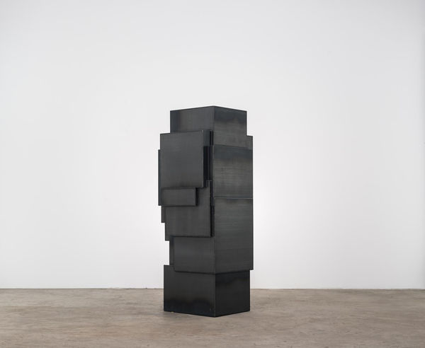 Antony Gormley, EXPANSION FIELD 56/60, 2014
