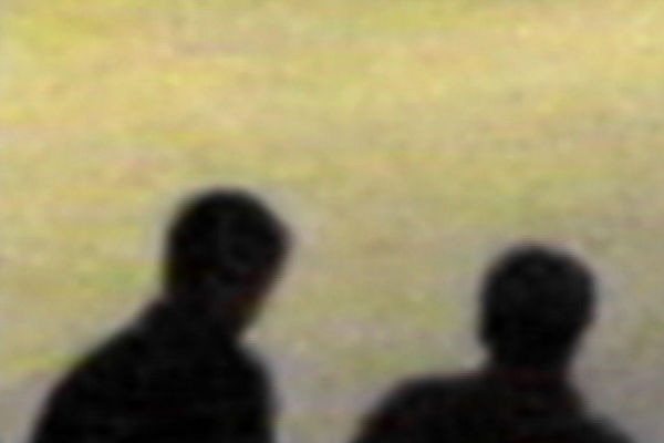 Carlos Motta, Public Domain #10, 2004