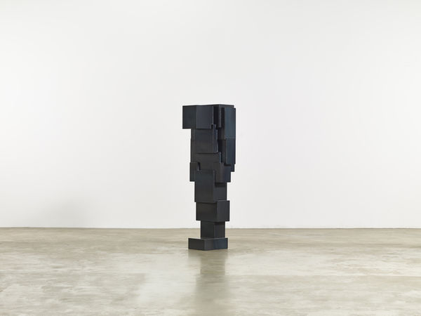 Antony Gormley, POND, 2014