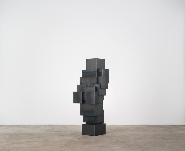 Antony Gormley, EXPANSION FIELD 53/60, 2014