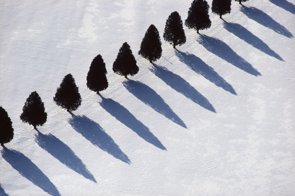 Alex Maclean, Tree Shadows in Snow, Middlebury, VT, 1990