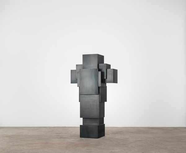 Antony Gormley, EXPANSION FIELD 2/60, 2014