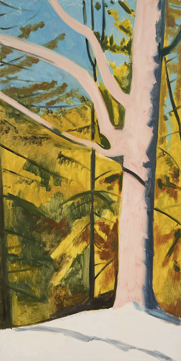 Lois Dodd, Tree near Beaver Pond, 2000