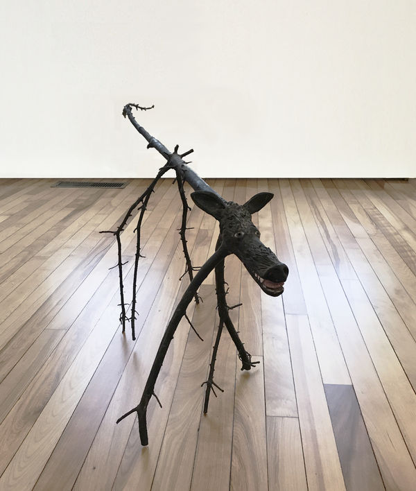 Joseph Wheelwright, Dog, 2013