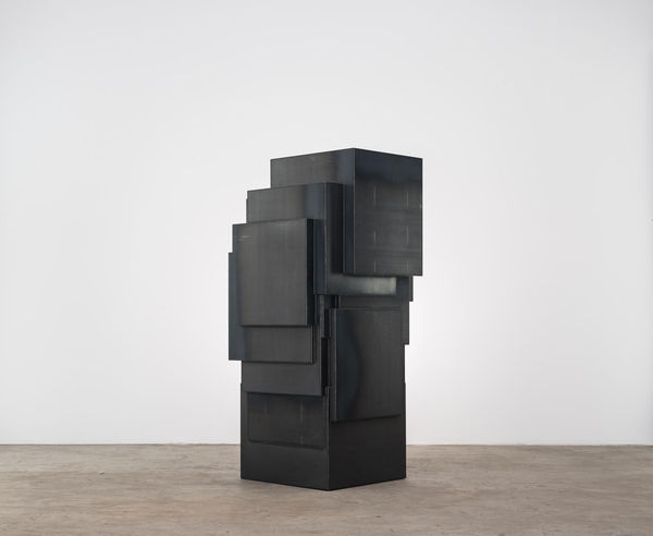 Antony Gormley, EXPANSION FIELD 31/60, 2014