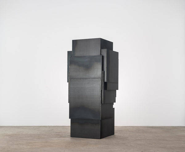 Antony Gormley, EXPANSION FIELD 57/60, 2014