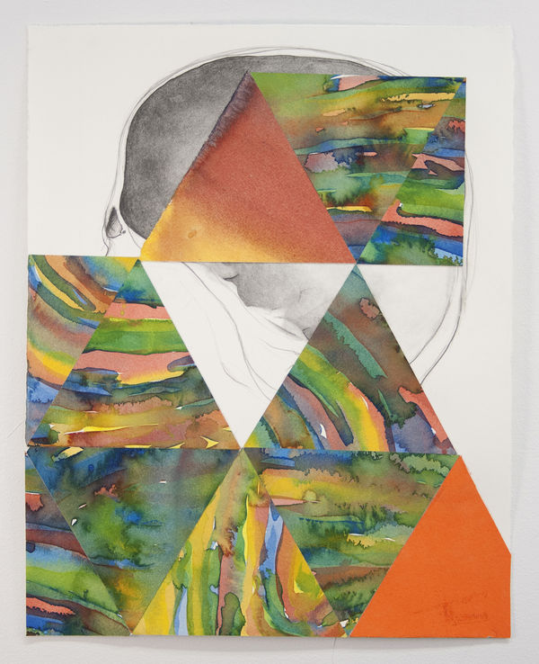 Steve Budington, Skull with Psychedelic Map Elements, 2017