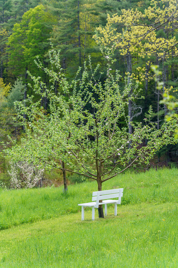 Jeppe Hein, Modified Social Bench #34, 2012