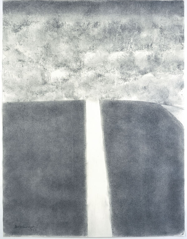Richard Artschwager, Untitled (Ant's view of road), 2006