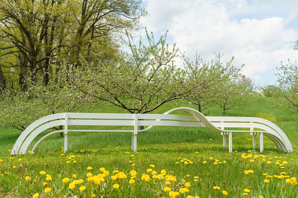 Jeppe Hein, Modified Social Bench #41, 2015