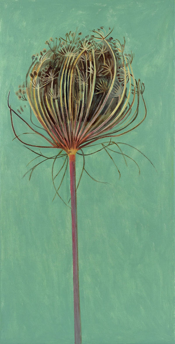 Lois Dodd, Queen Anne's Lace Closed, 2017