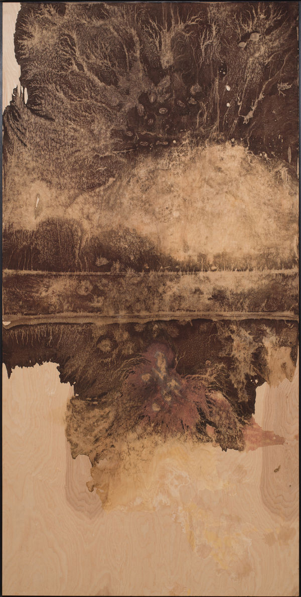 Hermann Nitsch, Untitled, 2011