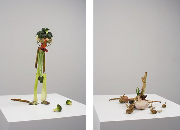 Tony Matelli - A HUMAN ECHO