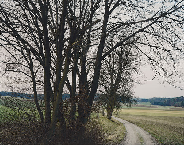 Thomas Struth Winterthur Landscapes