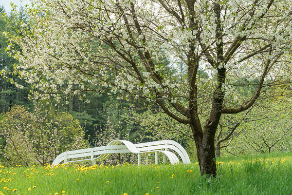 Jeppe Hein, Modified Social Bench #41, 2015
