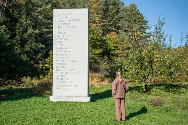 David Shrigley, Memorial, 2016