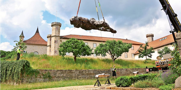 HILDESHEIMER ALLGEMEINE ZEITUNG, KUNST IM SCHWEBEZUSTAND