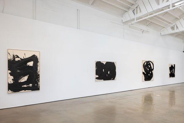 Santiagoparra Naderessaphoto 25