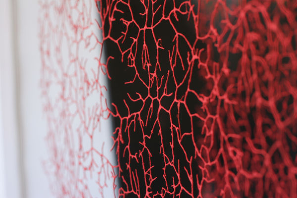 Design Miami / Basel