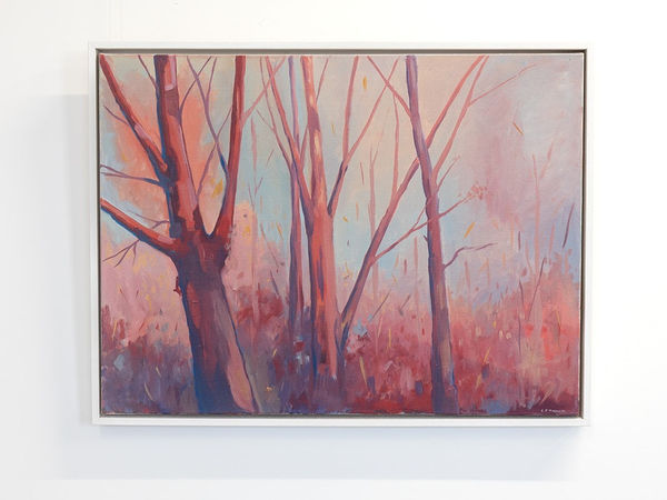 Lucy Fiona Morrison Trees In Contrast Oil on Canvas 80x60cm £1440