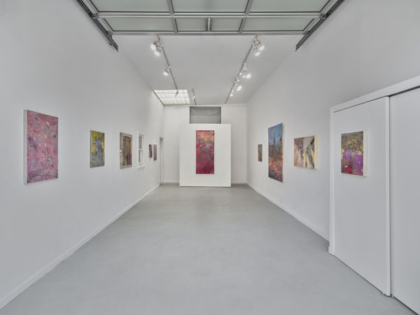 Jan Dickey 11 Jpeg 72Dpi Web Use