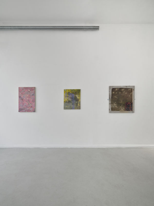 Jan Dickey 14 Jpeg 72Dpi Web Use