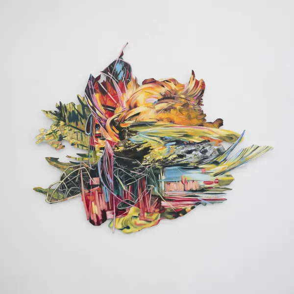 5 50 Gallery 9 Jpeg 72Dpi Web Use