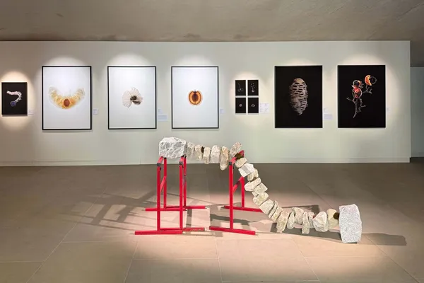 Cracks of Potential ©Victor Guerin