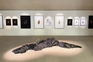 Cracks of Potential: Victor Guerin