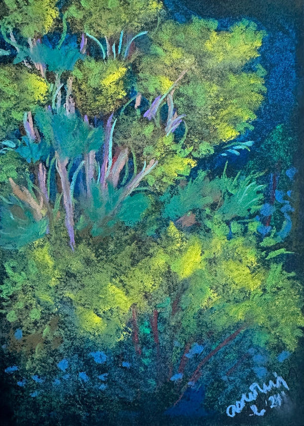 Aslı Deniz Helvacıoğlu, Untitled