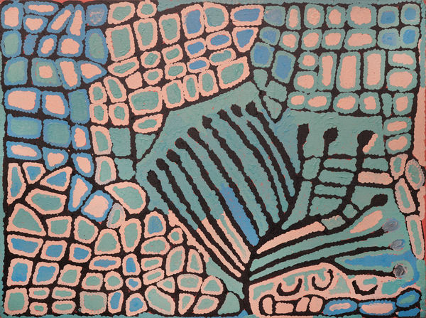 Nancy Nungurrayi, Women's Ceremony, 2001