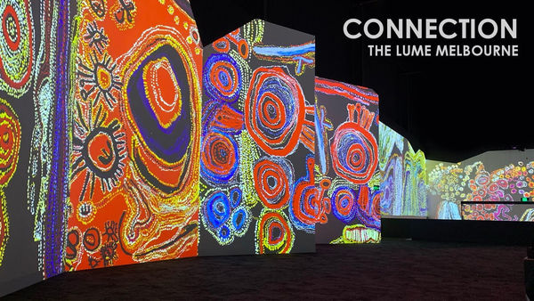 The Lume: Connection, A Collaboration with Grande Experiences