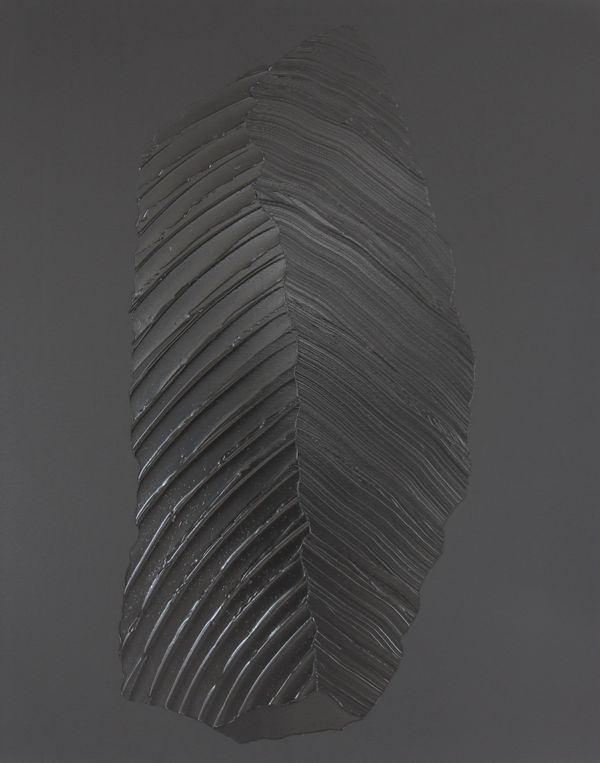 Chavannes-Renens, 2024