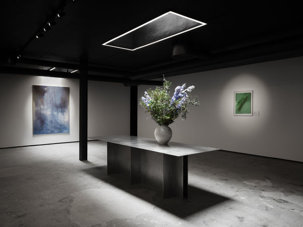 Laure Prouvost x Carlotta Bailly-Borg