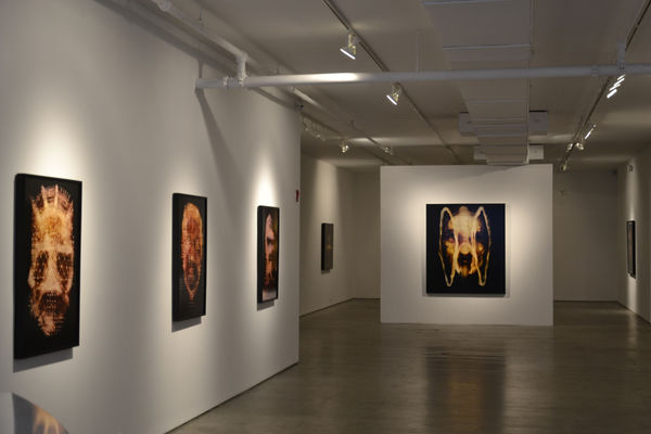 Johan Van Mullem installation