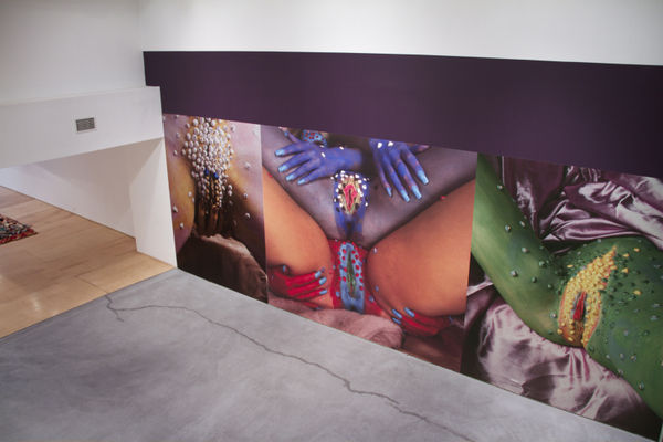 Extravagant Features Installation