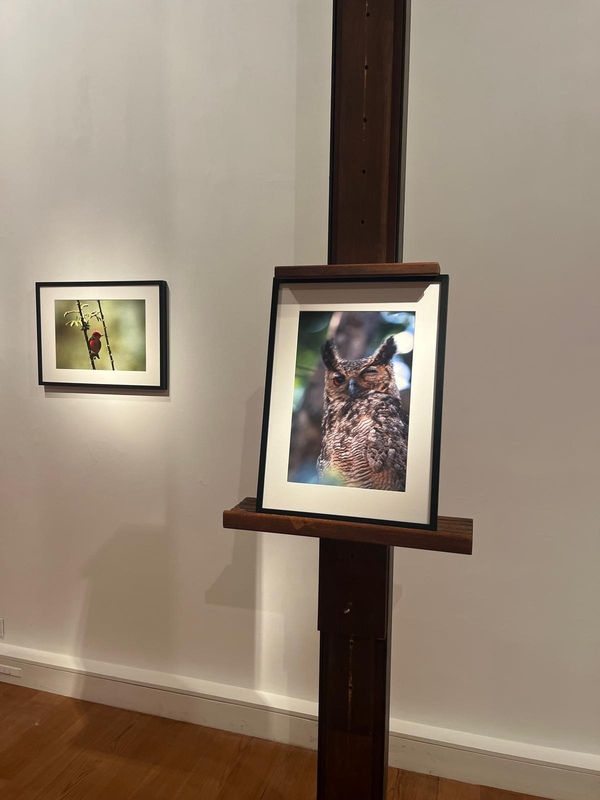 Jorge Camacho, El Frio, Hommage a Doñana, Photographies 1975, 2024 Installation view