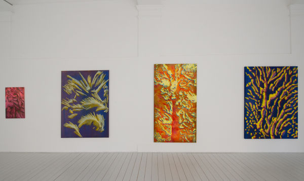 Finestra aperta Nils Nova