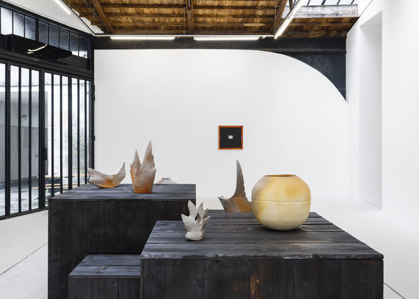 Emerging Submerging Reemerging 2024 Galerie Frank Elbaz Photo Claire Dorn Exhibition View Hd 3