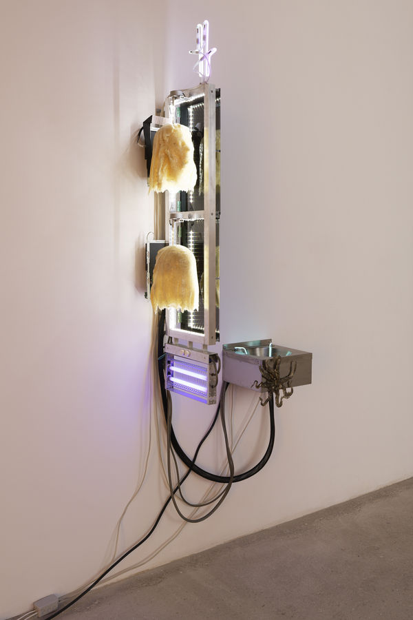 Delarue Chloe 2023 Tafaa Fertility Device Nudge For The Gemini Photo Aurelien Mole Del2023 3110 Hd 2