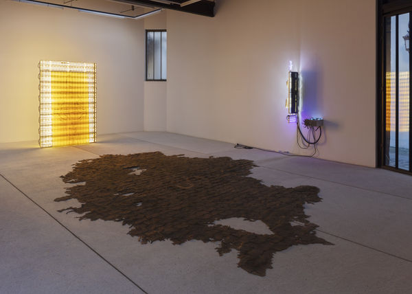 Delarue Chloe 2023 Tafaa Sycamore Rabbit Exhibition View Photo Claire Dorn Hd V1 1